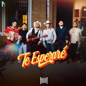 Te Esperaré - En Vivo