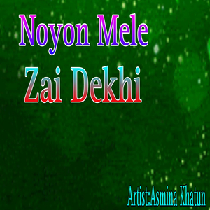 Noyon Mele Zai Dekhi