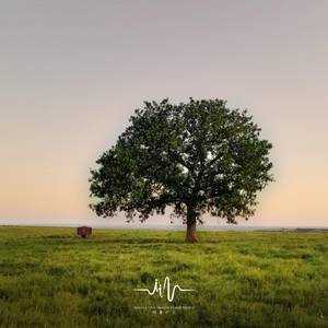 思念的声音 (吉他+流水声)