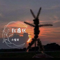 前方高能预警 (DJ版)