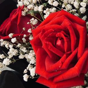 multiflora(prod.aura)