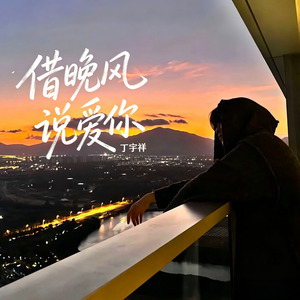借晚风说爱你