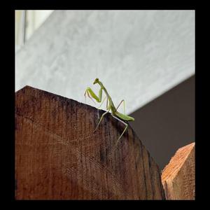 Then, It Just Sort Of Ends