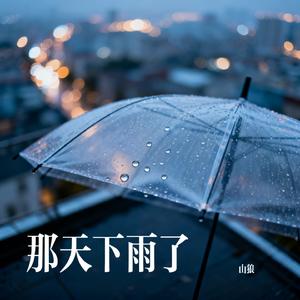 那天下雨了