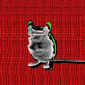 脳内あんはっぴー