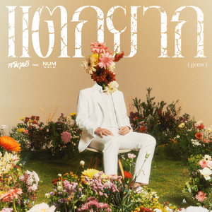 แตกยาก (Gems)