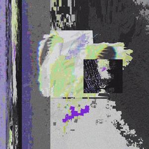 halcyon