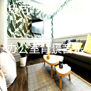 一尘不染工作印象数