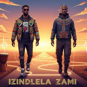 Izindlela zami