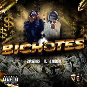 BICHOTES (feat. ZsasZTrrr)