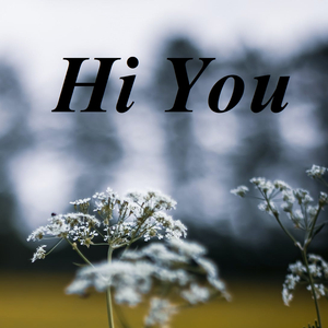 Hi You