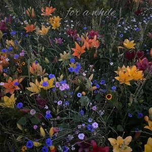 for a while (feat. produced by tmsh)