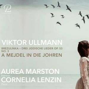 BrezulinkaDrei Jiddische Lieder, Op. 53: No. 3, A Mejdel in die Johren