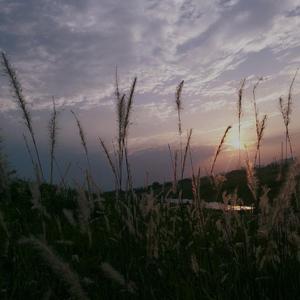 我一直在你身后（翻自 李飘飘）