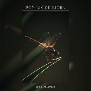 Les Libellules
