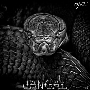 Jangal