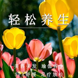 莲花静坐：精神焕新（放松纯音乐）