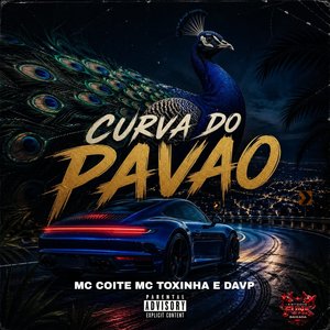 Curva do Pavão