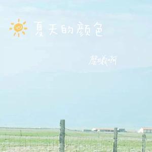 夏天的颜色（原唱 fine乐团）