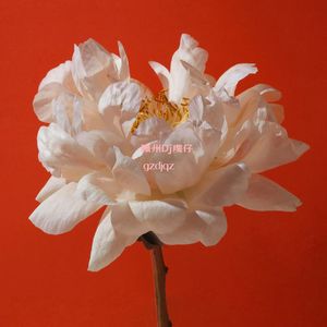 软肋