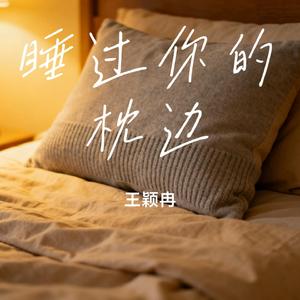 睡过你的枕边