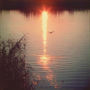 Far Away: Let's Go