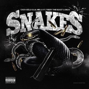 Snakes (feat. Big D & Teezy The Beast)