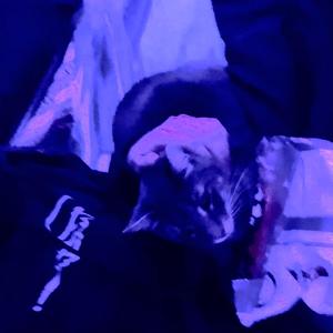 Average (feat. Ayato)