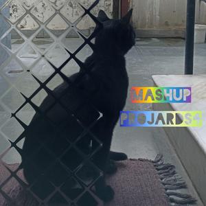 MASHUP
