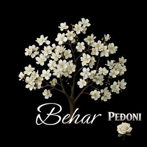 Behar