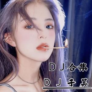 时间沦陷（ＤJ 最火版）（殇子昊（刘永康） remix）