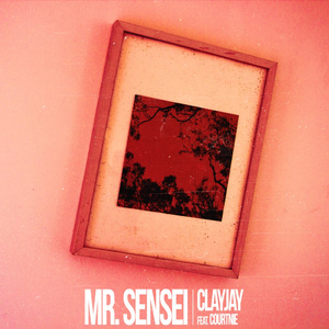 Mr. Sensei