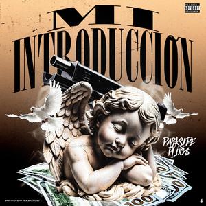 Mi Introduccion (feat. El Niño Del Parke)