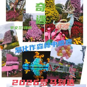 奇遇（2026）