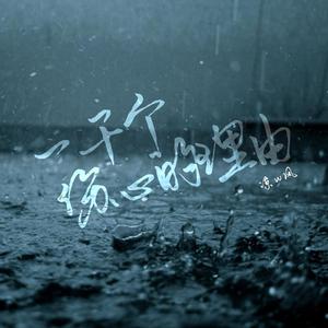 一千个伤心的理由（男女对唱版）（翻自 王俊余乐）