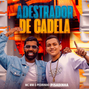 Adestrador De Cadela