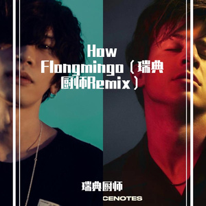 Charlie Puth-How Flongmingo（瑞典厨师Remix）