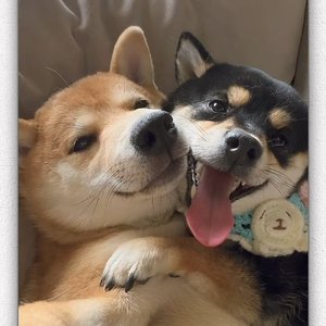 C-T1-堕-Zyboy忠宇（段小胖啊 remix）