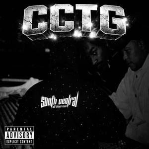 LLC'S & Felonies (feat. RIEFF)