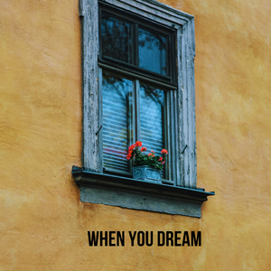 When You Dream