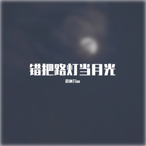 错把路灯当月光