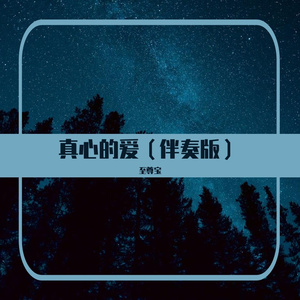 真心的爱 伴奏