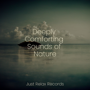 Solemn Echoes of Solitude