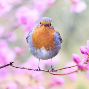 Relaxing Summer Energy