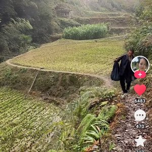 星星之火从井冈山开始曼延