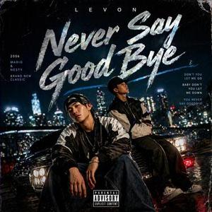 Never Say Good Bye