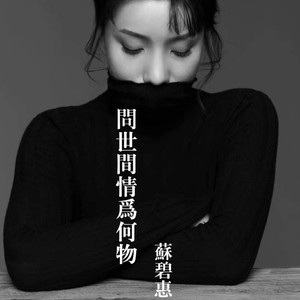 问世间情为何物 (伴奏)