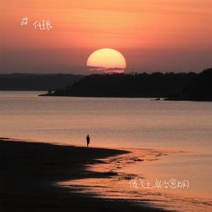 倦飞之鸟