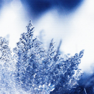 Ice