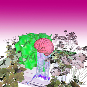 Pilze lügen nie über ihr Schicksal